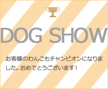 �h�b�O�V���[